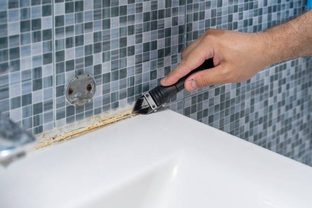 Best DIY Mold Remediation Support Services in Woodruff, SC